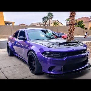 Meet your Posher, Jayden